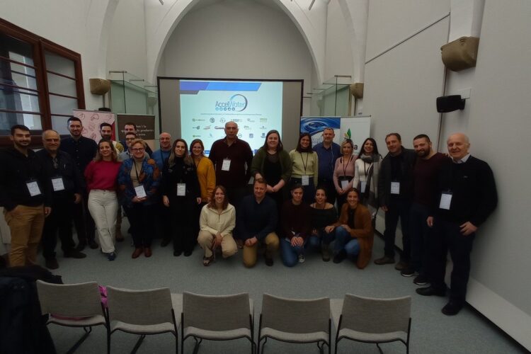 6th AccelWater project Coordination Meeting