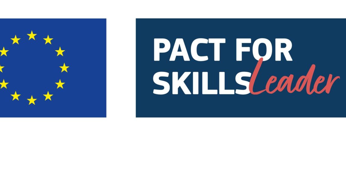 Pact for Skills Leader